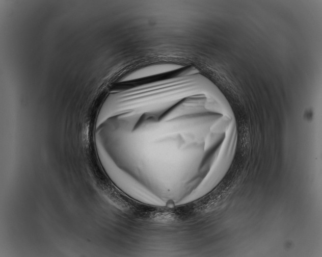 X0000099960262200806201344