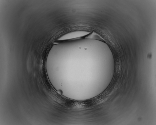 X0000099960263200806201344