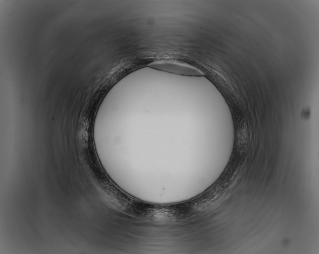 X0000099960264200806201344