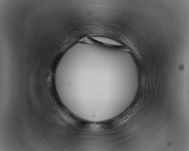 X0000099960265200806201344