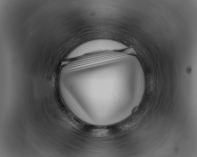 X0000099960266200806201344