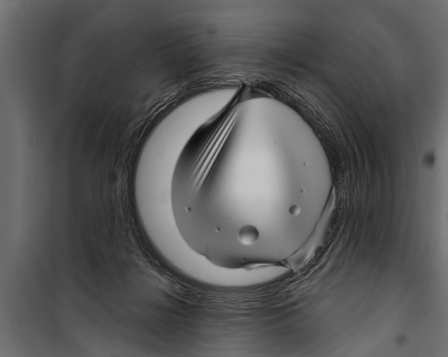 X0000099960268200806201344