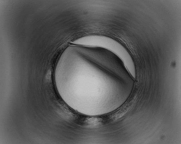 X0000099960269200806201344