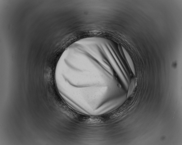 X0000099960270200806201344
