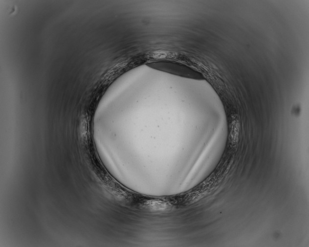 X0000099960272200806201344