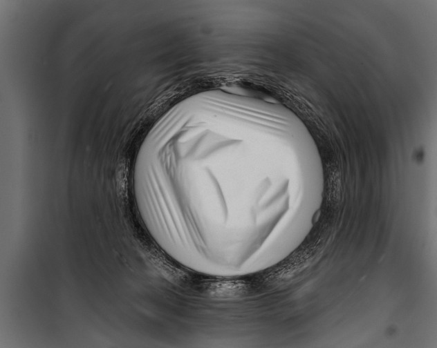 X0000099960274200806201344