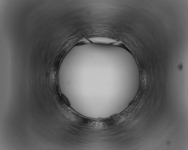 X0000099960276200806201344