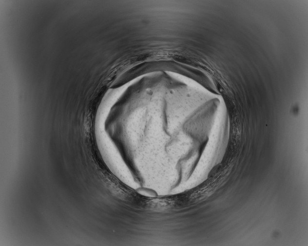 X0000099960277200806201344