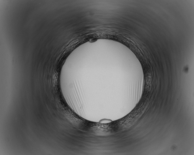 X0000099960278200806201344