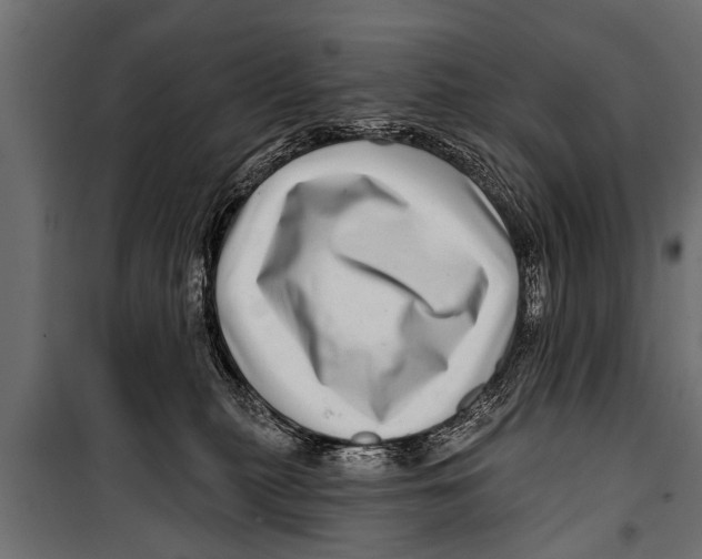 X0000099960279200806201344
