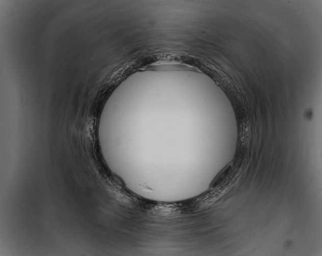 X0000099960280200806201344
