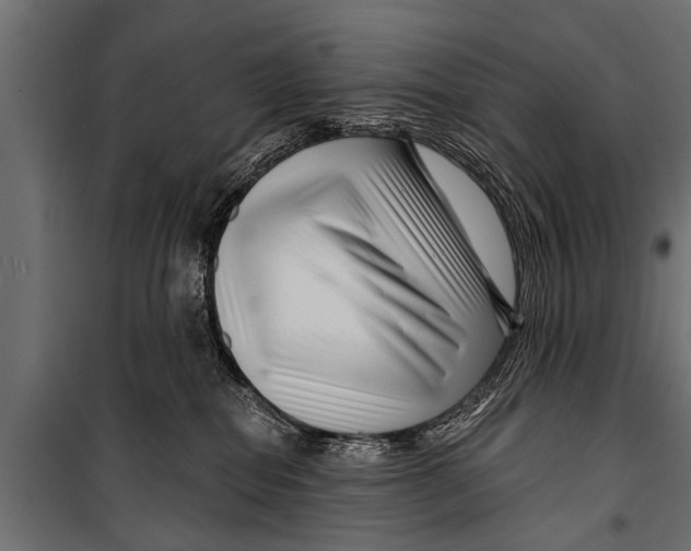 X0000099960282200806201344