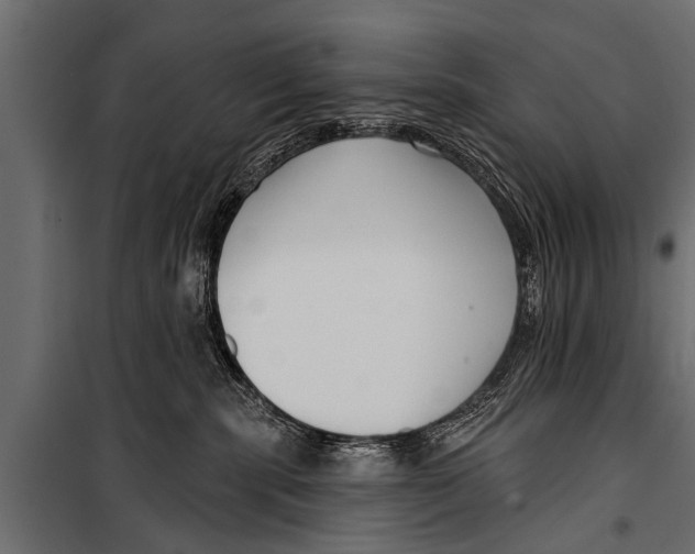 X0000099960283200806201344