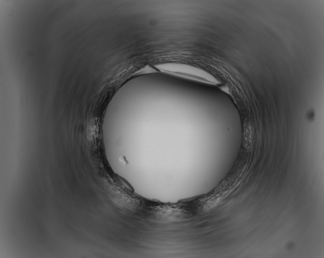 X0000099960284200806201344