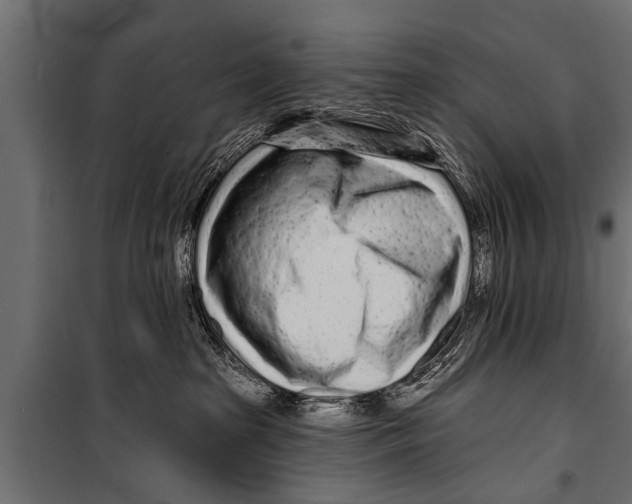 X0000099960285200806201344