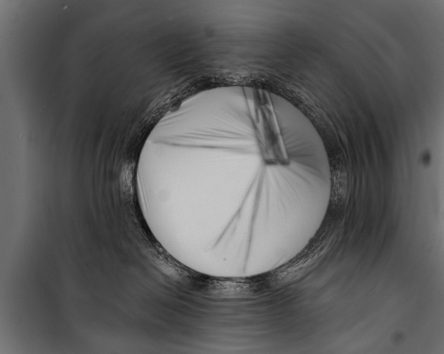 X0000099960286200806201344