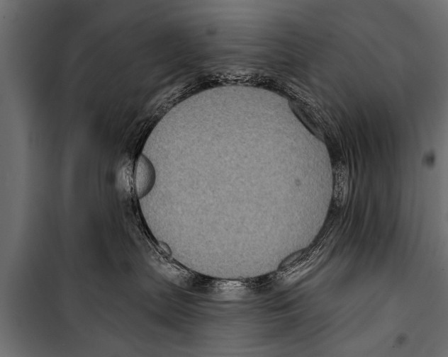 X0000099960287200806201344