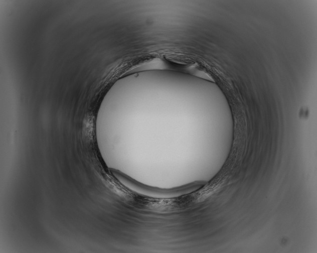 X0000099960288200806201344