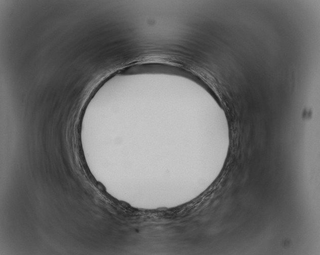 X0000099960289200806201344
