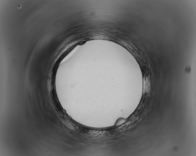 X0000099960291200806201344