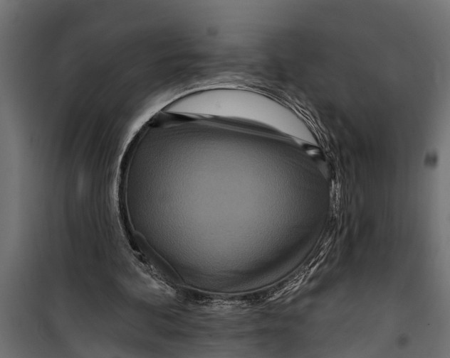 X0000099960292200806201344