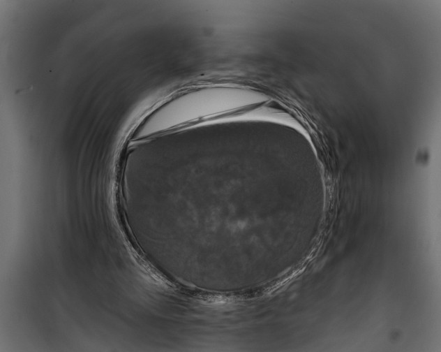 X0000099960293200806201344