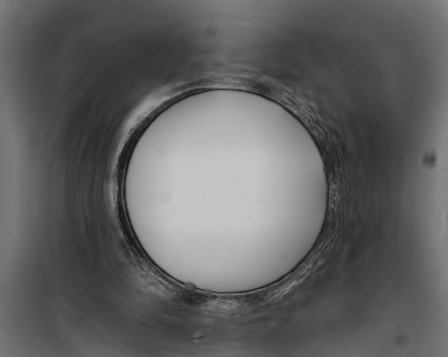 X0000099960294200806201344