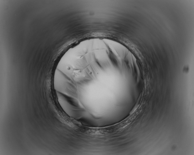 X0000099960297200806201343
