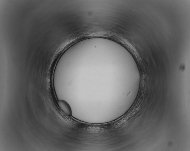 X0000099960298200806201343
