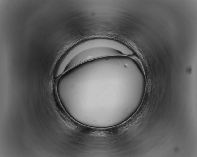 X0000099960299200806201343