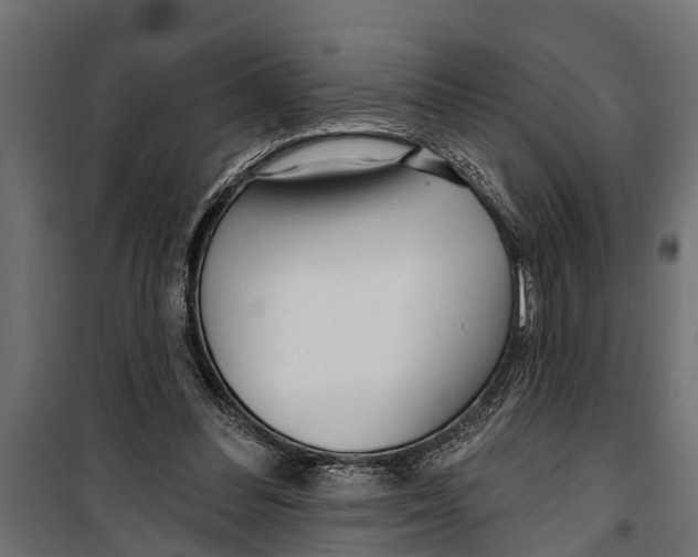 X0000099960300200806201343