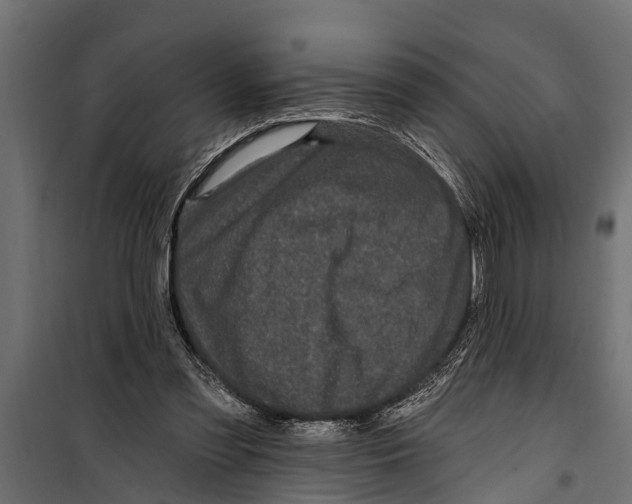 X0000099960301200806201343