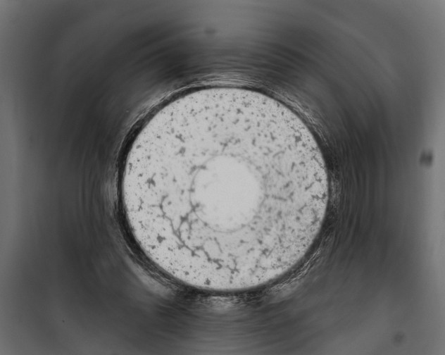 X0000099960302200806201343
