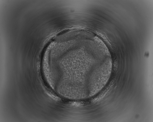 X0000099960303200806201343