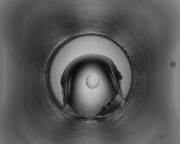 X0000099960304200806201343