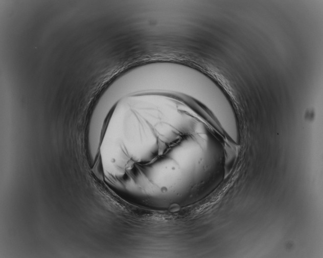 X0000099960305200806201343