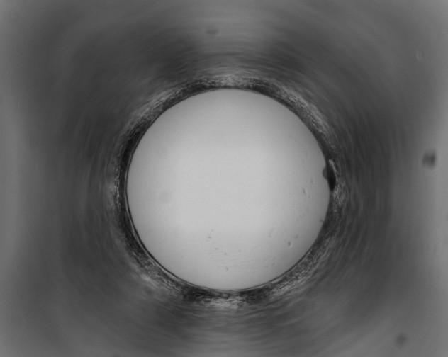 X0000099960306200806201343