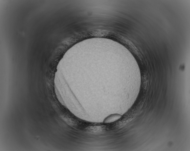 X0000099960307200806201343
