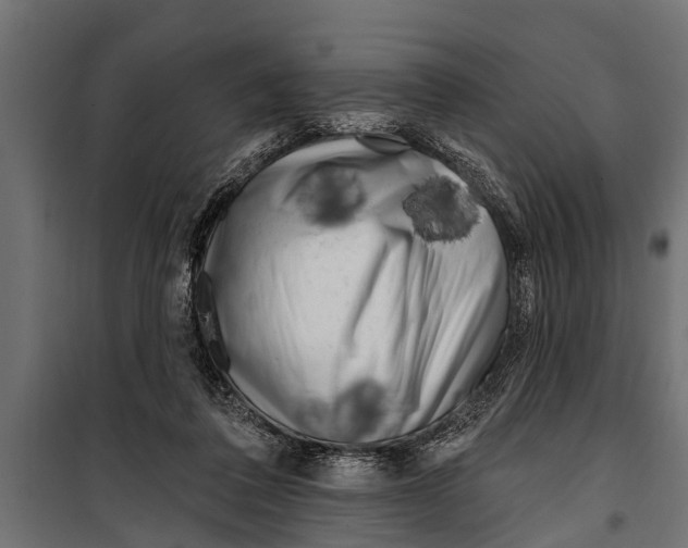 X0000099960308200806201343