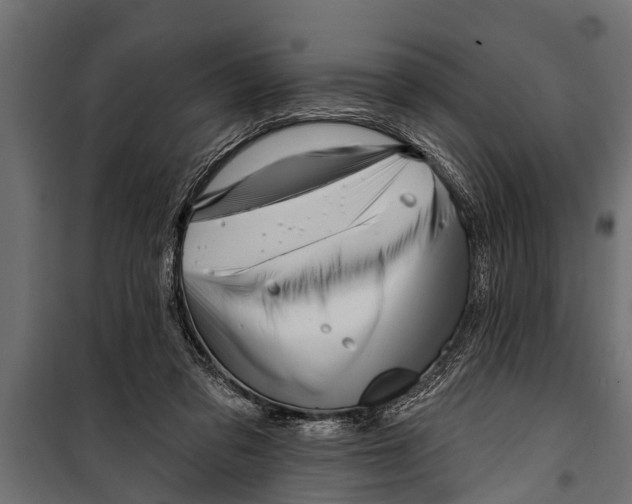 X0000099960309200806201343