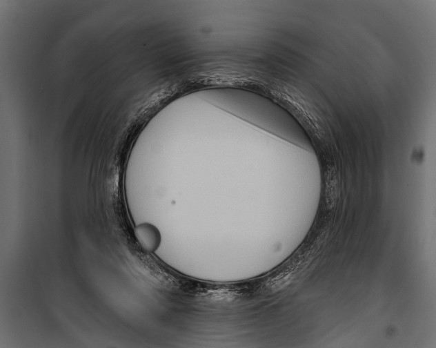 X0000099960310200806201343