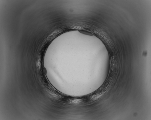 X0000099960312200806201343