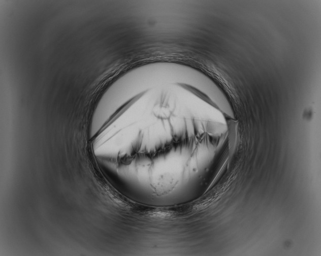 X0000099960313200806201343