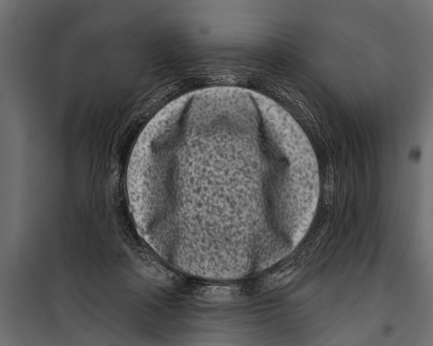 X0000099960314200806201343