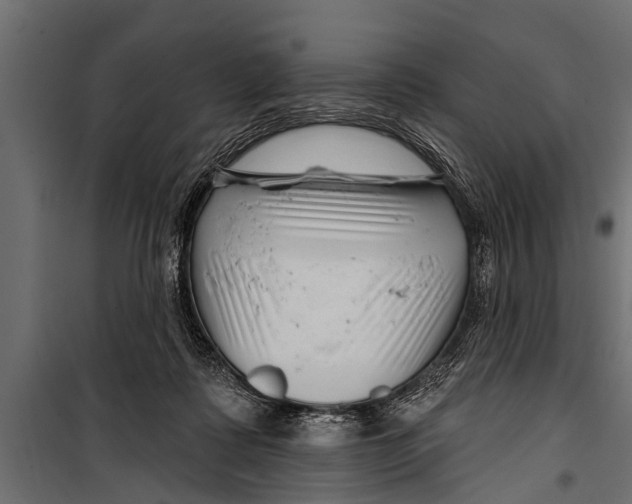 X0000099960315200806201343