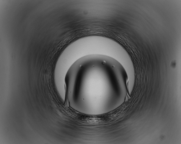X0000099960316200806201343