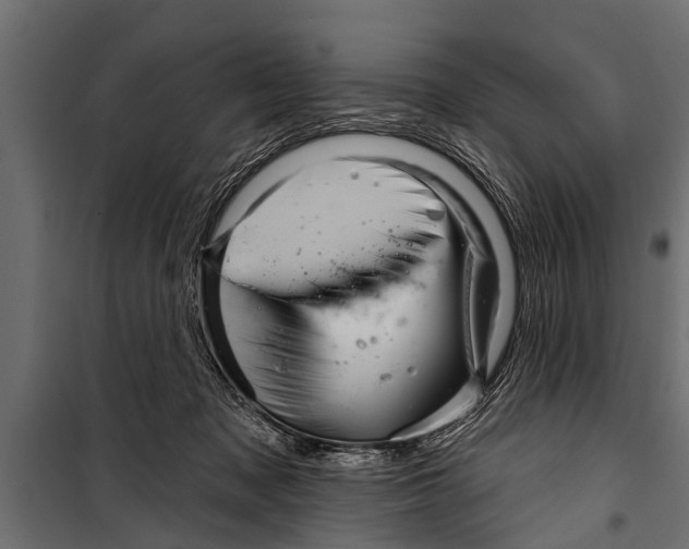 X0000099960317200806201343