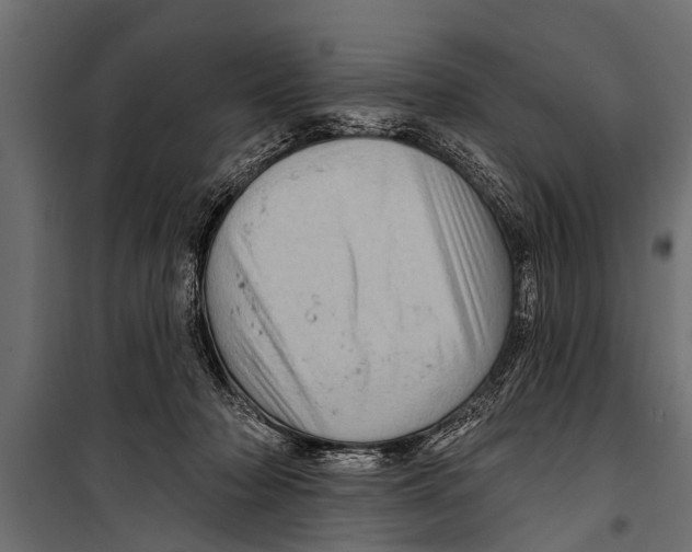 X0000099960318200806201343