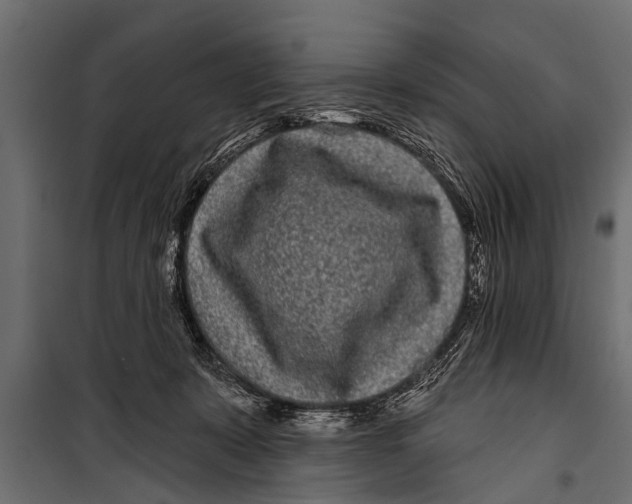 X0000099960319200806201343