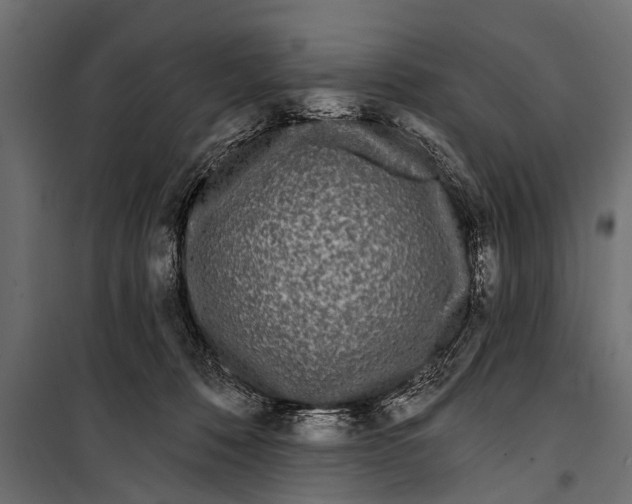 X0000099960320200806201343